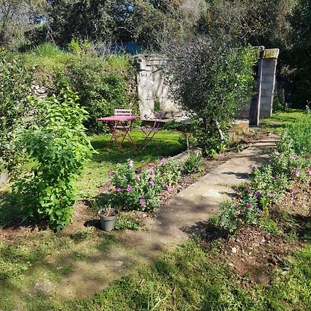 Cap Au Sud Sweet Home Nimes Ngoại thất bức ảnh