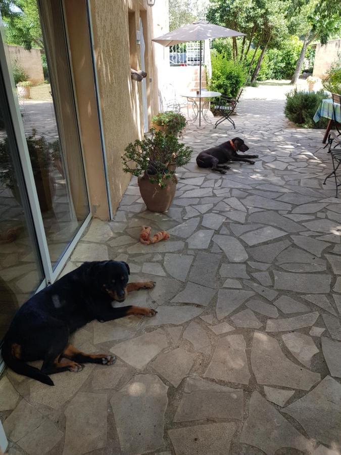 Cap Au Sud Sweet Home Nimes Ngoại thất bức ảnh