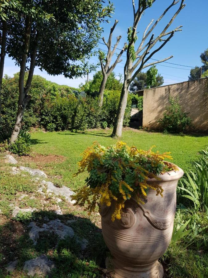 Cap Au Sud Sweet Home Nimes Ngoại thất bức ảnh