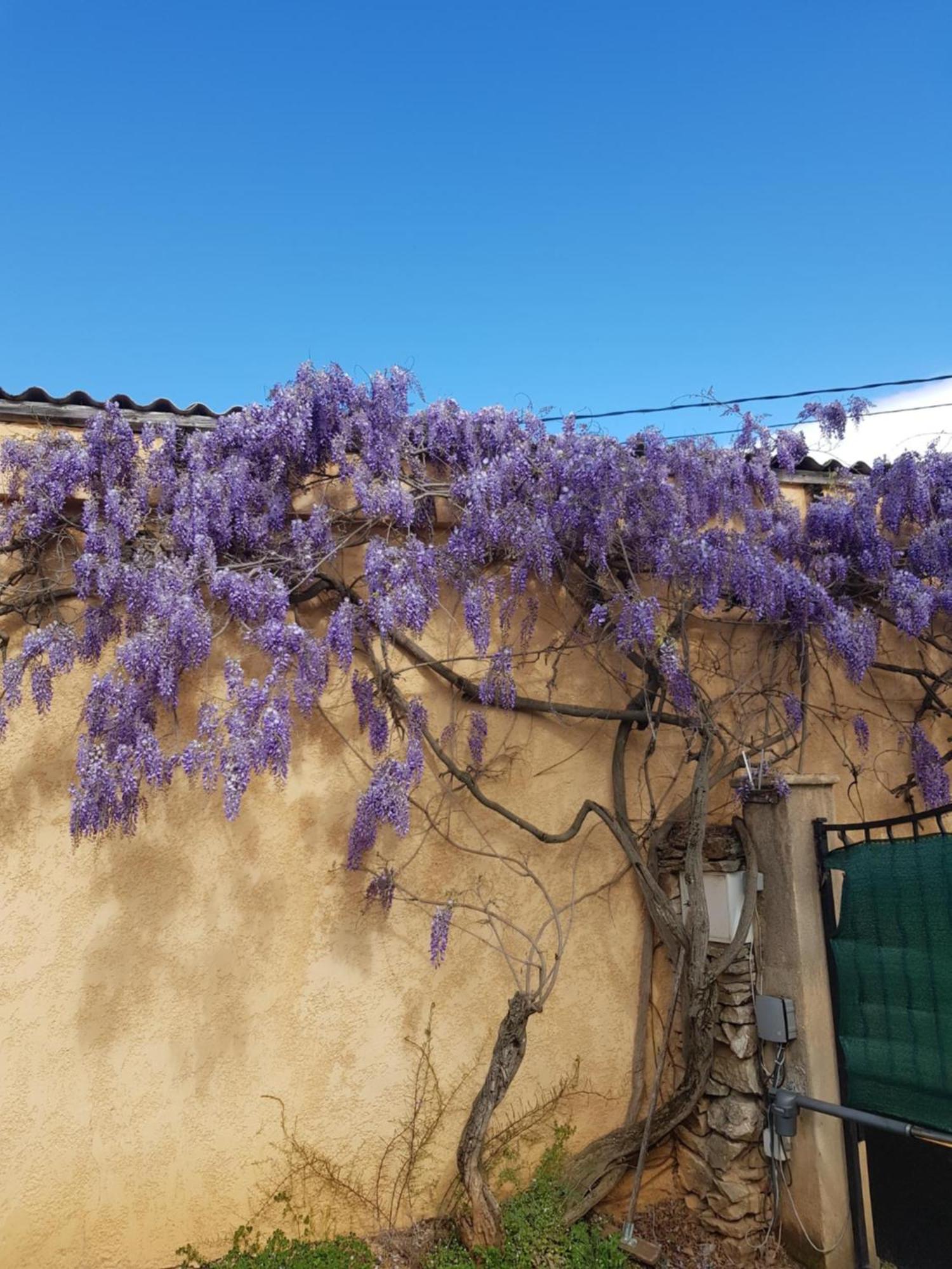 Cap Au Sud Sweet Home Nimes Ngoại thất bức ảnh