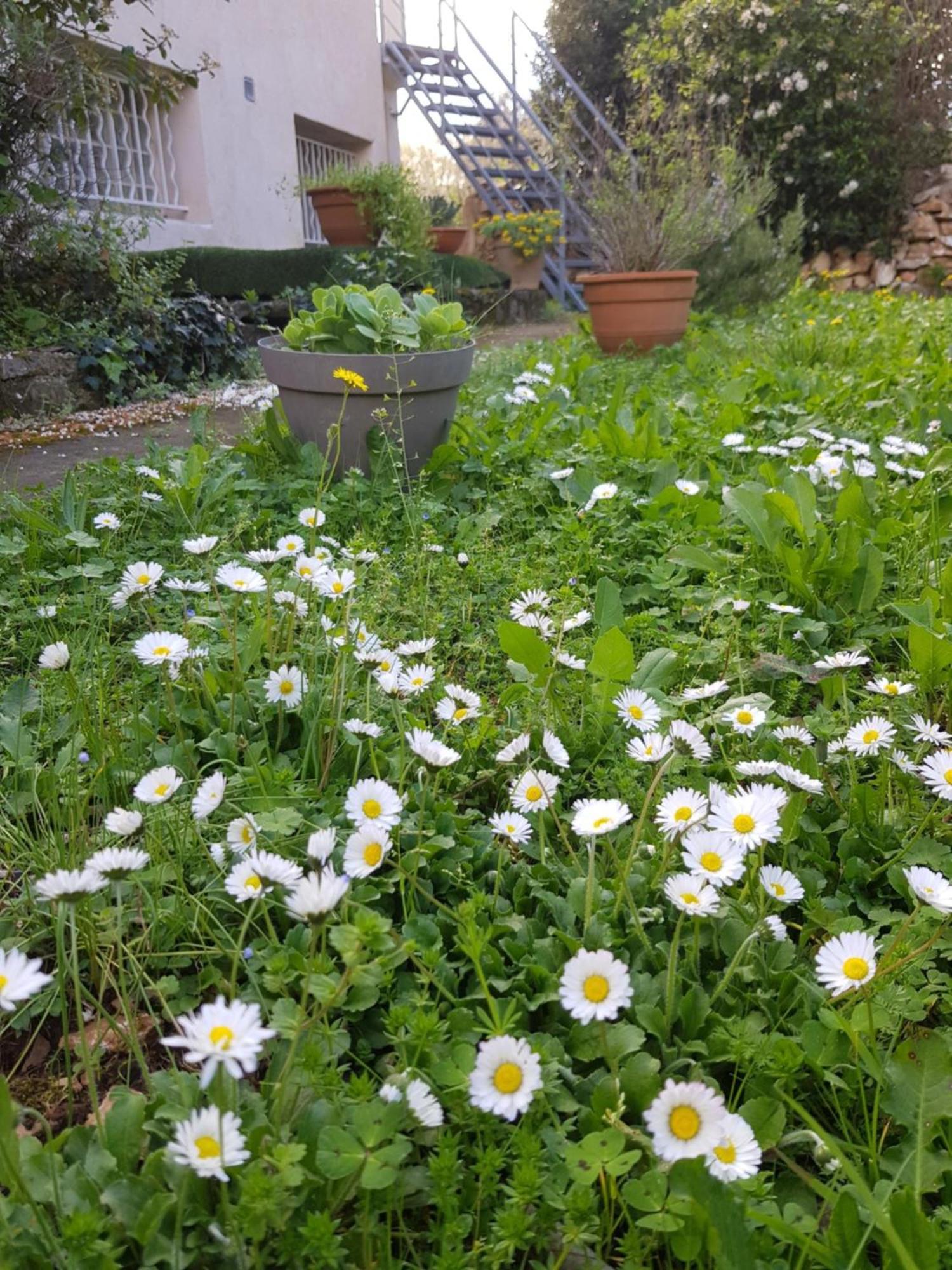 Cap Au Sud Sweet Home Nimes Ngoại thất bức ảnh