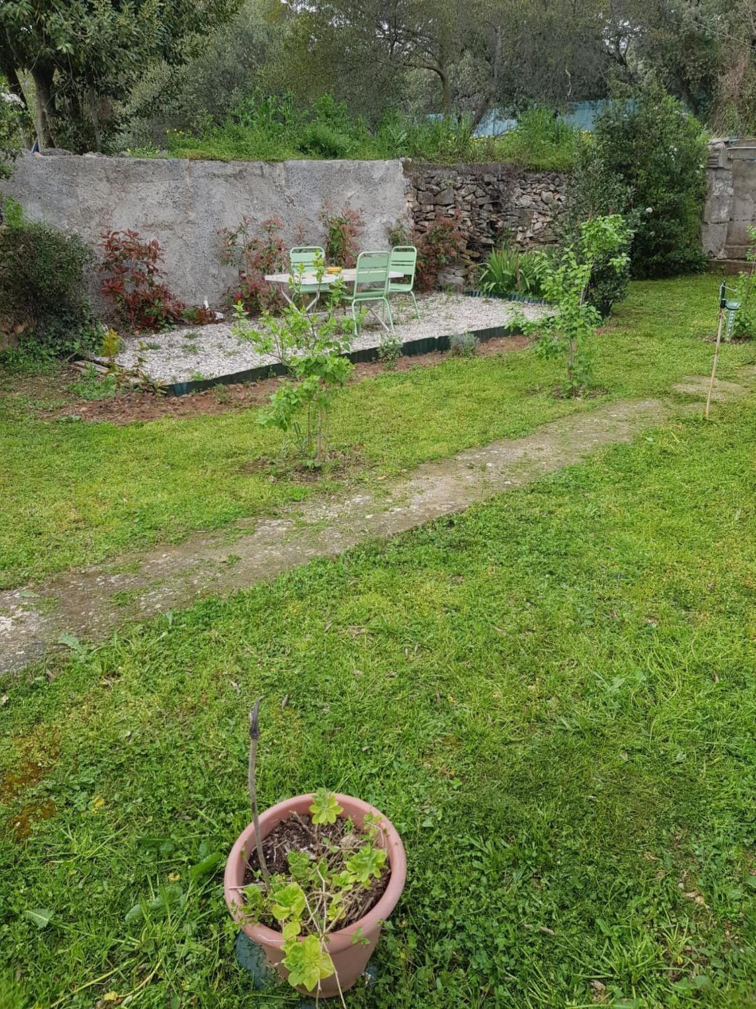 Cap Au Sud Sweet Home Nimes Ngoại thất bức ảnh