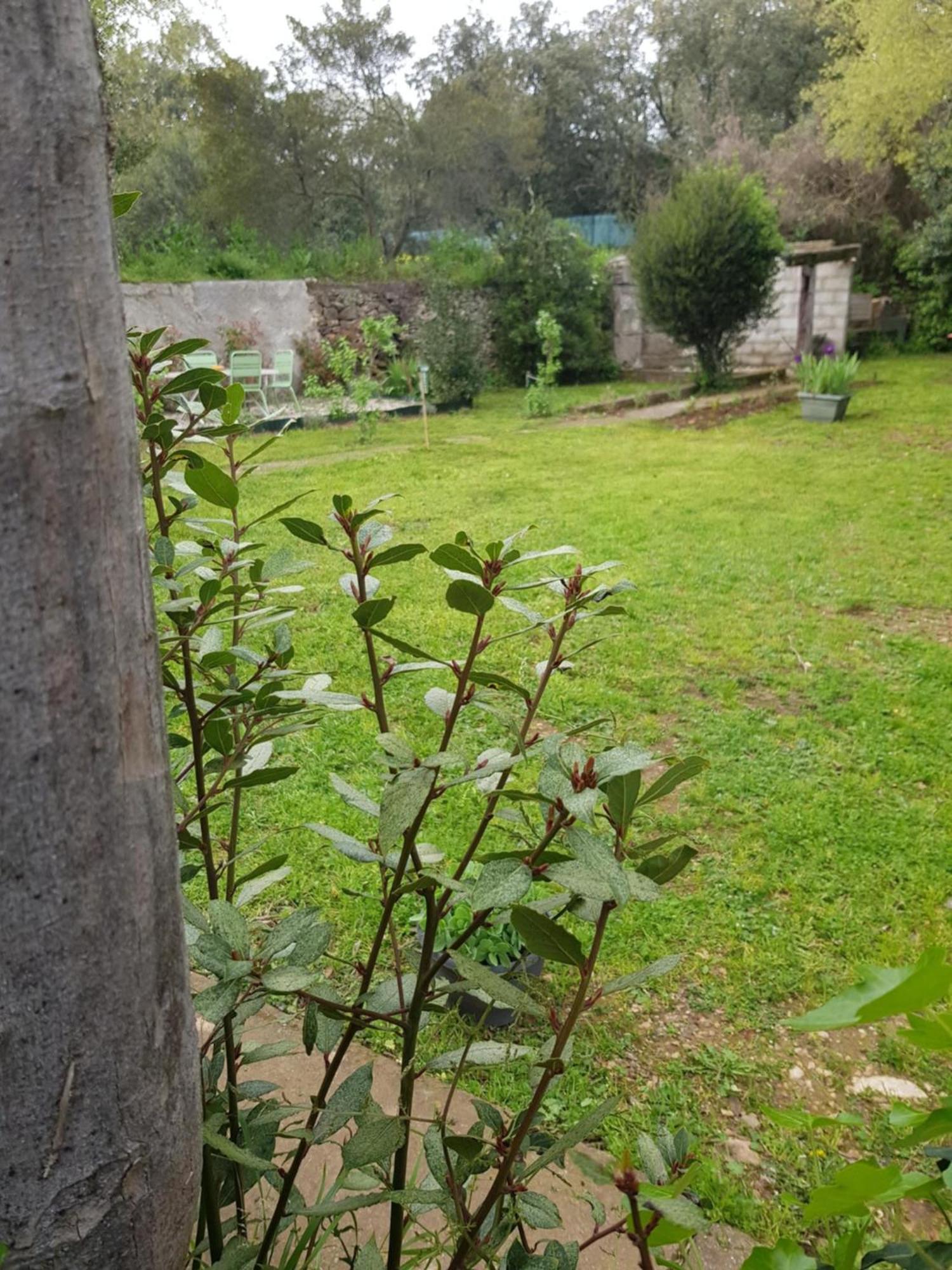 Cap Au Sud Sweet Home Nimes Ngoại thất bức ảnh
