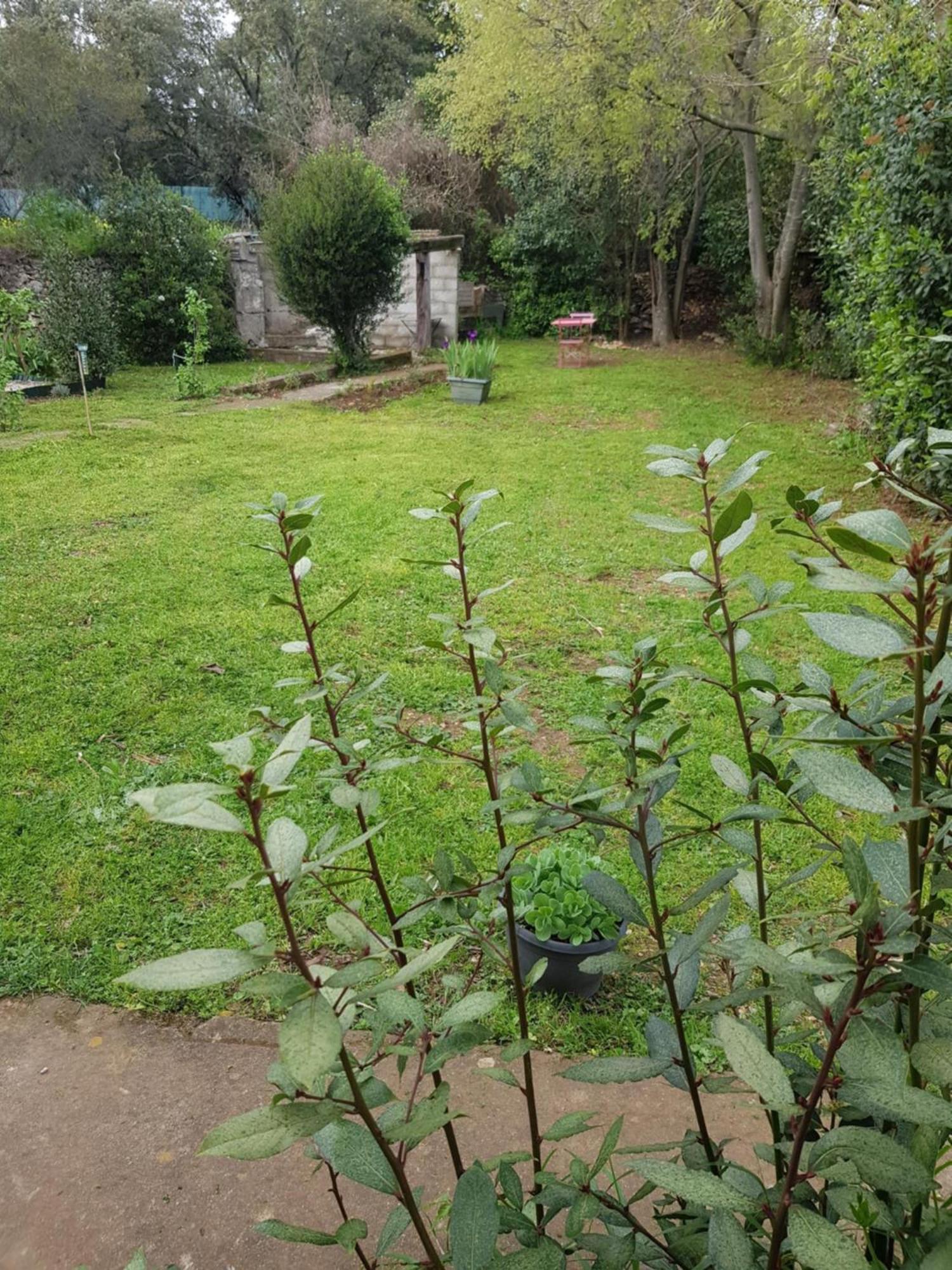 Cap Au Sud Sweet Home Nimes Ngoại thất bức ảnh