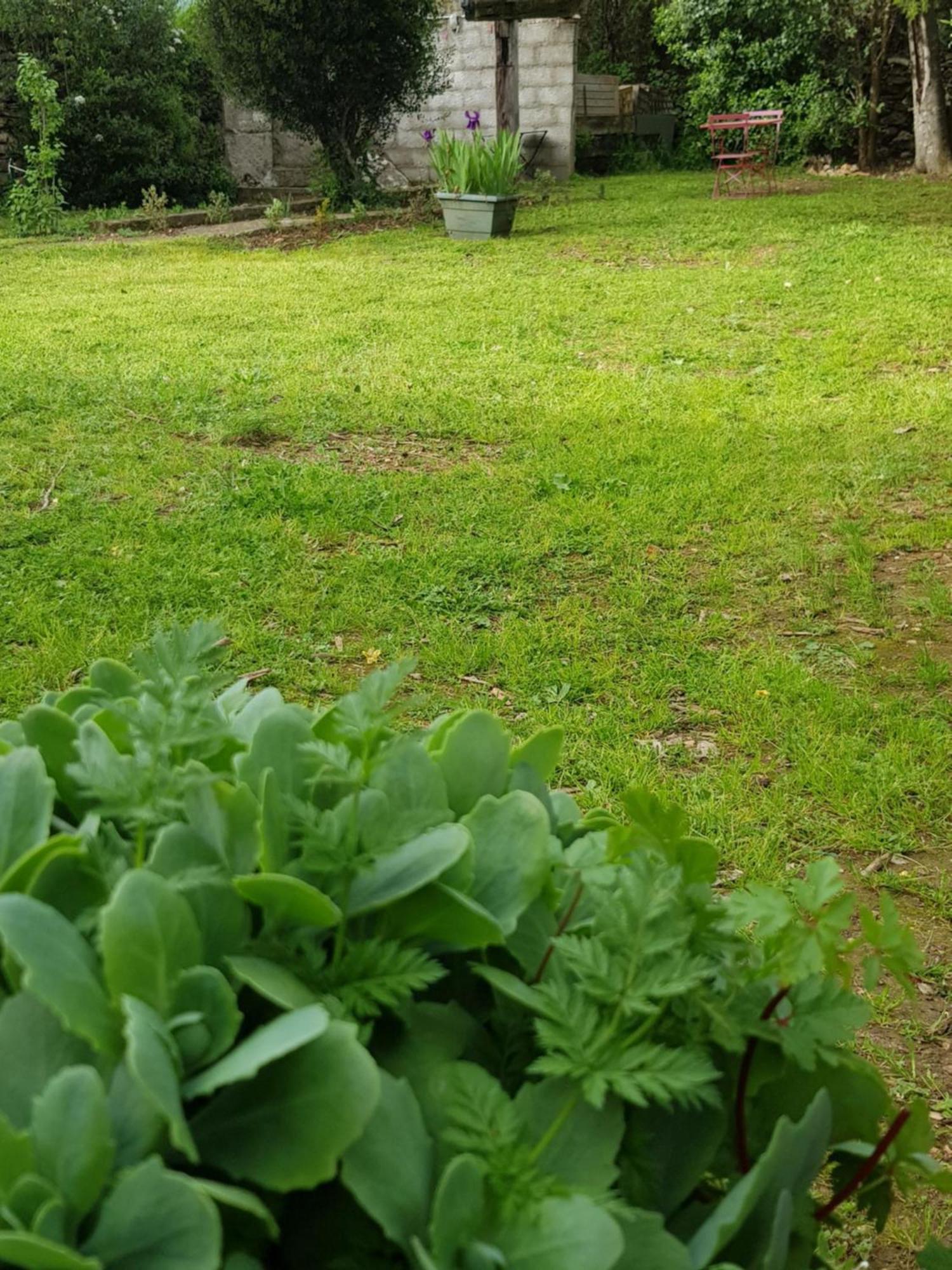 Cap Au Sud Sweet Home Nimes Ngoại thất bức ảnh