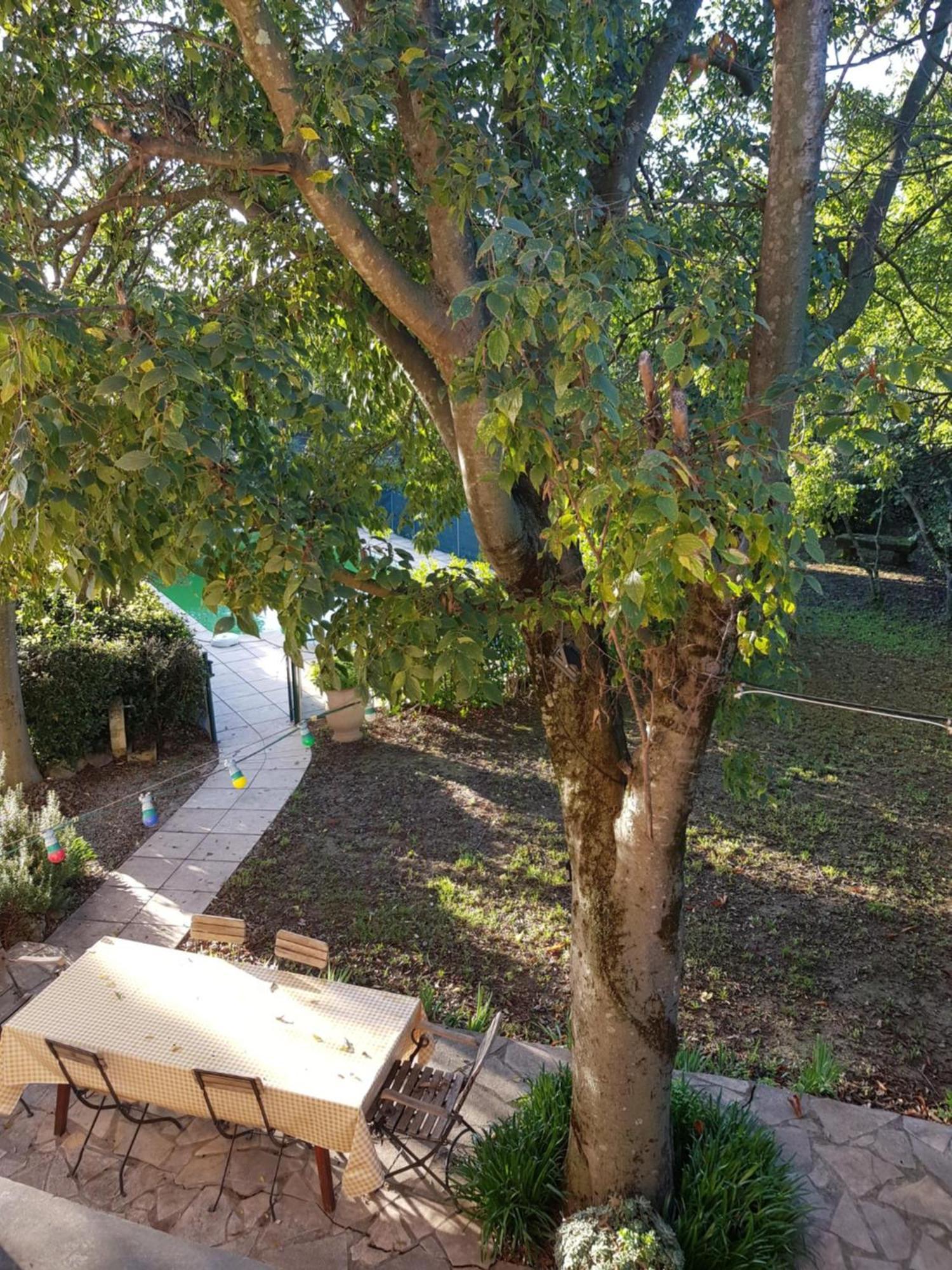 Cap Au Sud Sweet Home Nimes Ngoại thất bức ảnh